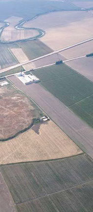 Isometric of Temple XVI.